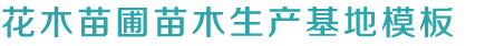 凯发k855